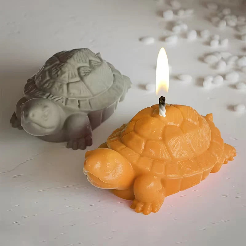 3D Turtle Silicon Mould