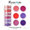 Resin Wale 6 Shade Mica Powder (B) SKU 123002