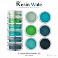 Resin Wale 6 Shade Mica Powder (D) SKU 123004