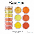 Resin Wale 6 Shade Mica Powder (G) SKU 123007