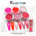 Resin Wale 6 Shade Mica Powder (N) SKU 123034