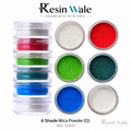 Resin Wale 6 Shade Mica Powder (Q) SKU 123037