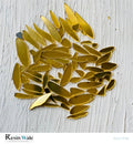 Acrylic Random Cutouts - Resin Wale