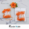 Pearl Orange flower pollens and stamens - Resin Wale
